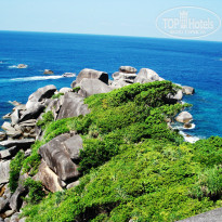 фото из отзыва ID 888838