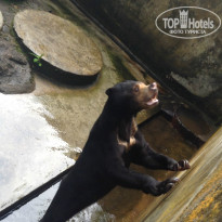 фото из отзыва ID 888838