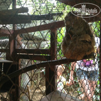 фото из отзыва ID 888838