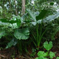 фото из отзыва ID 888990