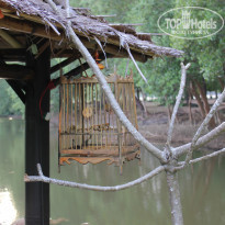 фото из отзыва ID 888739