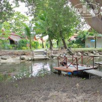 фото из отзыва ID 888739