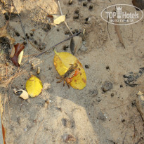 фото из отзыва ID 888739