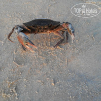 фото из отзыва ID 889067