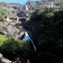 фото из отзыва ID 889067