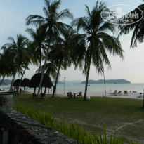 фото из отзыва ID 889182