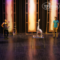 фото из отзыва ID 889191