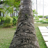 фото из отзыва ID 889201