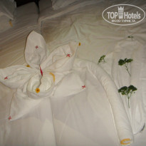 фото из отзыва ID 889239