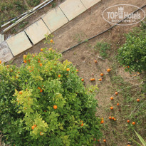 фото из отзыва ID 889332