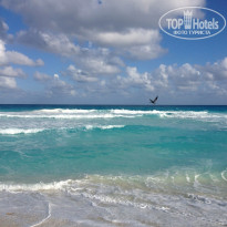 фото из отзыва ID 889356