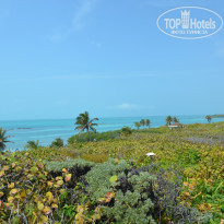 фото из отзыва ID 889571