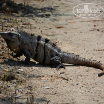 фото из отзыва ID 889571