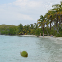 фото из отзыва ID 889571