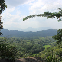 фото из отзыва ID 889585