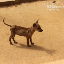 фото из отзыва ID 889585