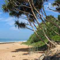 фото из отзыва ID 889585