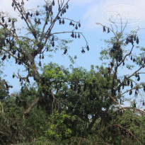 фото из отзыва ID 889585