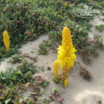 фото из отзыва ID 889654