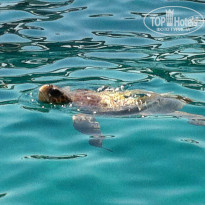 фото из отзыва ID 889788