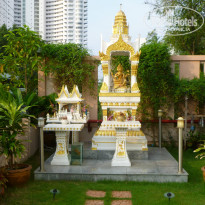 фото из отзыва ID 889822