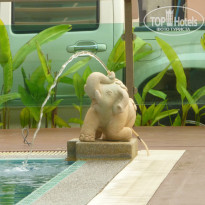 фото из отзыва ID 889822