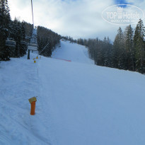 фото из отзыва ID 889675