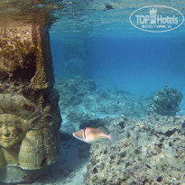 фото из отзыва ID 889936