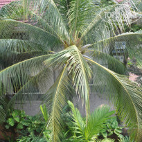 фото из отзыва ID 889764