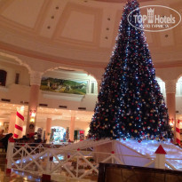 фото из отзыва ID 889914