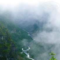 фото из отзыва ID 890002