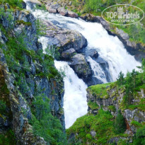 фото из отзыва ID 890002