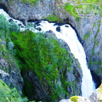 фото из отзыва ID 890002