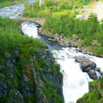 фото из отзыва ID 890002