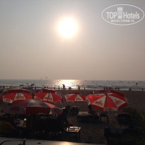 фото из отзыва ID 890055