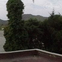 фото из отзыва ID 890224