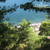 фото из отзыва ID 890283