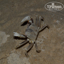 фото из отзыва ID 890332