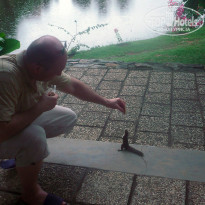 фото из отзыва ID 890458