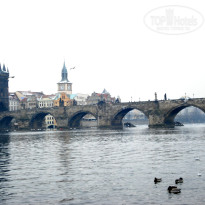 фото из отзыва ID 890506