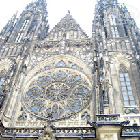 фото из отзыва ID 890506