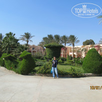 фото из отзыва ID 890529