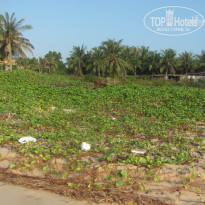 фото из отзыва ID 890561