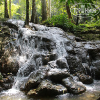 фото из отзыва ID 890562