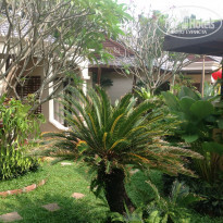 фото из отзыва ID 890585