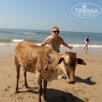 фото из отзыва ID 890769