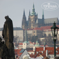 фото из отзыва ID 890801