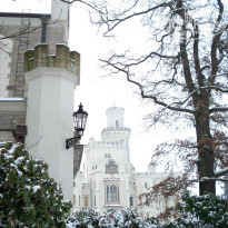 фото из отзыва ID 890506