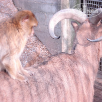 фото из отзыва ID 890506