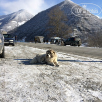 фото из отзыва ID 890936